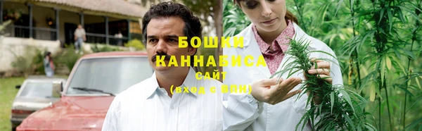 прущие грибы Алексеевка