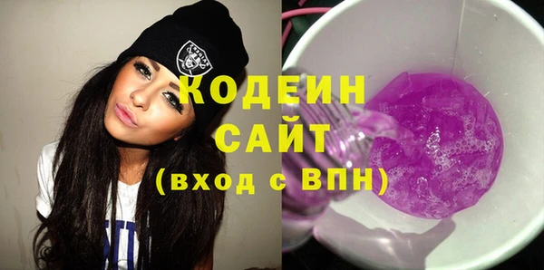 хмурый Новозыбков