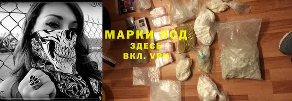 гидра Абаза