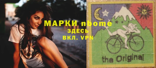 прущие грибы Алексеевка