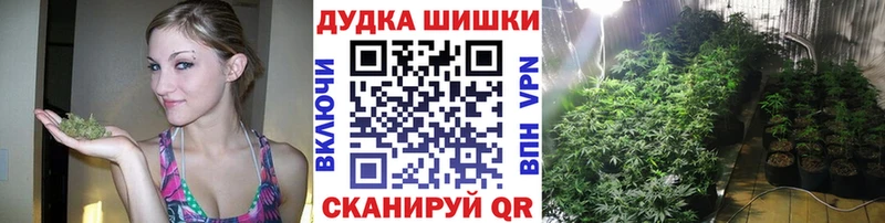 Шишки марихуана план  KRAKEN зеркало  Разумное 